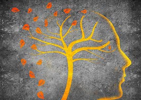 Brain Tree