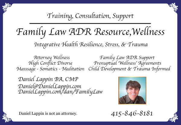 Family Law 4x6 marketing card