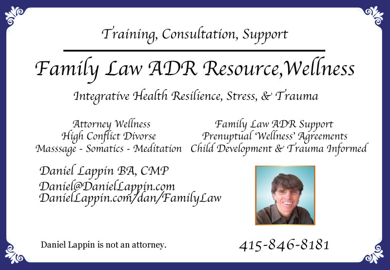 Family Law 4x6 marketing12