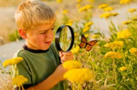 inquiry boy butterfly